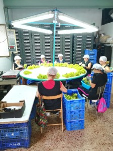 mesa trabajo